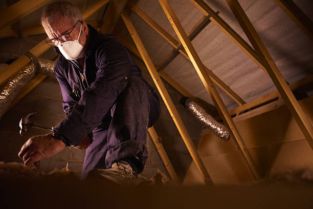 Best Residential Insulation in Grayson Vley, AL